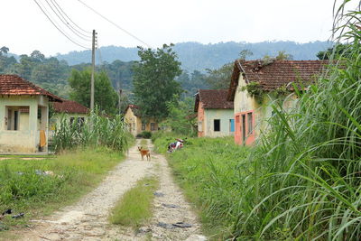 Houses by road amidst buildings against sky