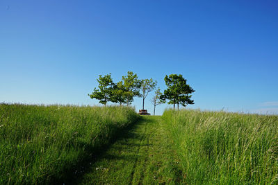 View of field against clear blue sky