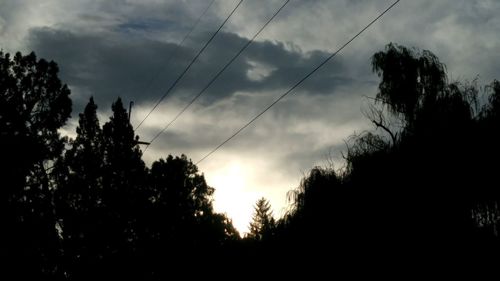 Silhouette trees against sky