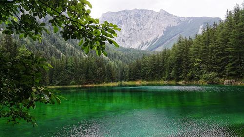 Scenic view of lake and mountains