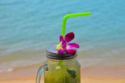 Flower on cocktail at beach