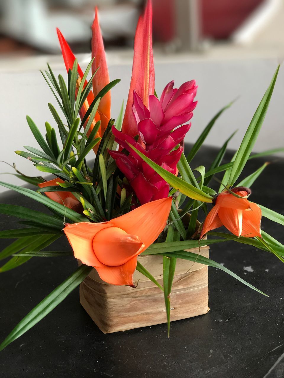 CLOSE-UP OF ORANGE FLOWER PLANT IN CONTAINER