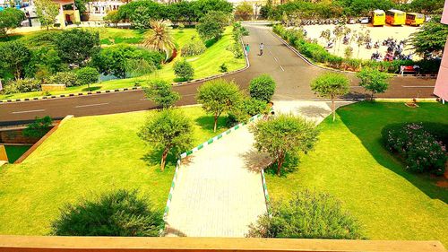 High angle view of formal garden