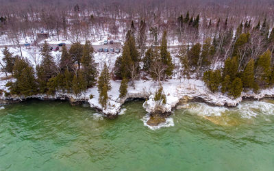 Scenic view of lake amidst trees