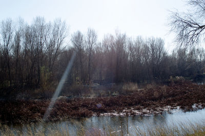 Scenic view of lake in forest against sky