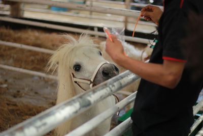 Side view of man holding pen