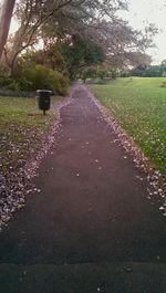 Empty road along trees