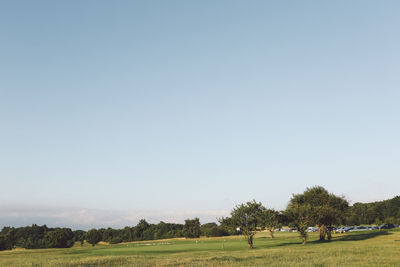 Trees on field against clear sky