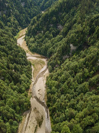 High angle view of road amidst trees in forest