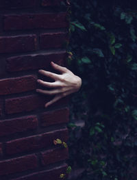 Close-up of hand against wall