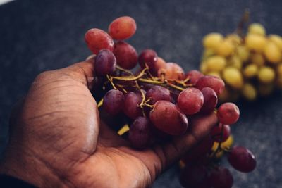 Cropped hand of person holding fruits