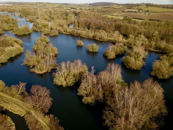 High angle view of lake along trees