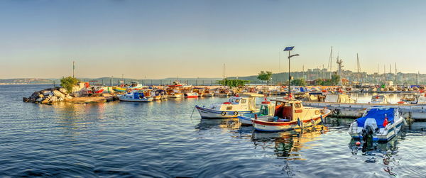 Sailboats in marina