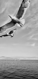 Seagull flying over sea against sky