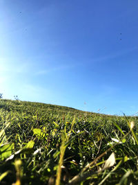 Scenic view of field against blue sky