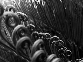 Full frame shot of wicker basket