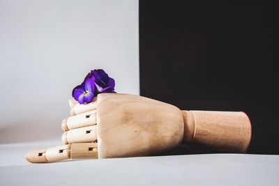Close-up of flowers on table