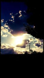 Silhouette of trees at sunset