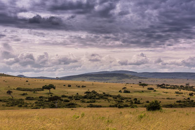 Scenic view of landscape against sky