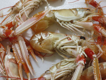 Close-up of cooked prawns