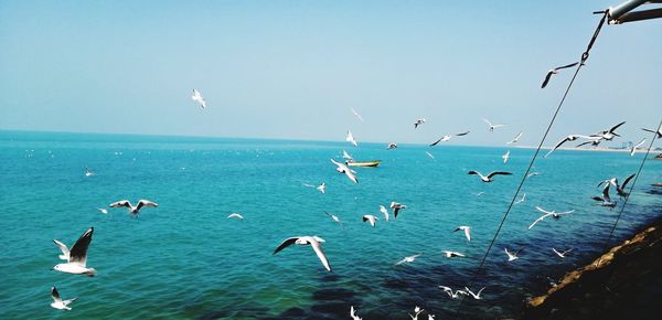 Seagulls flying over sea against sky