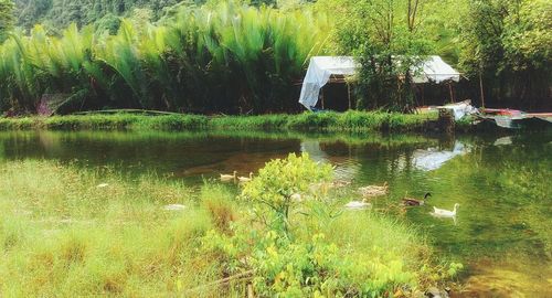 Scenic view of lake