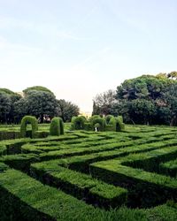 Panoramic view of trees against sky