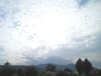 Low angle view of trees against sky