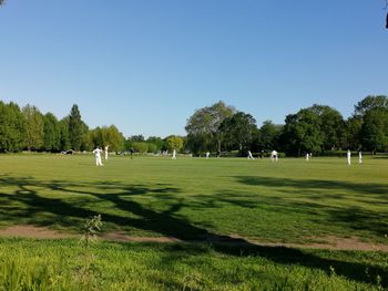 Scenic view of golf course against clear sky