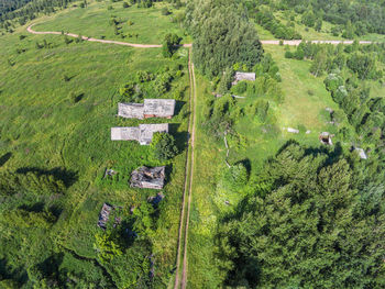 High angle view of agricultural field