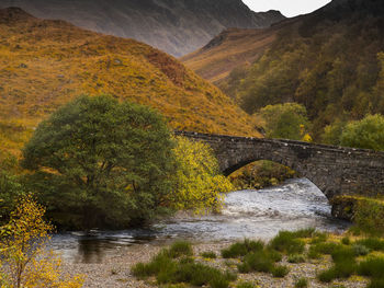 Scenic view of river by tree mountain