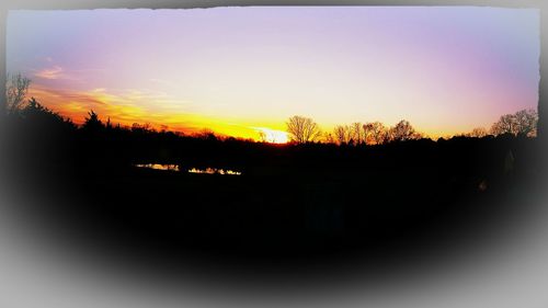 Silhouette of trees against sky during sunset