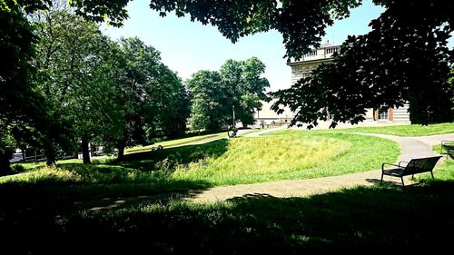 Trees on grassy field against sky