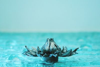 Close-up of sea against blue sky