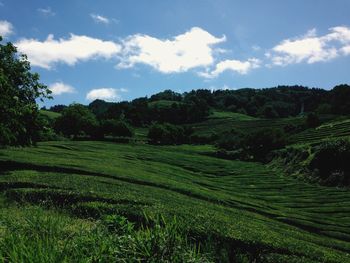 Scenic view of field against cloudy sky