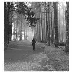 People walking on road