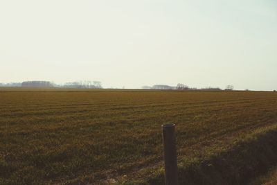 Scenic view of field against clear sky