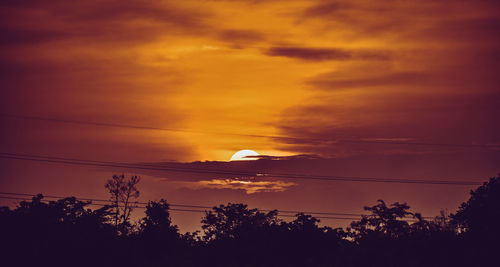 Low angle view of silhouette trees against orange sky