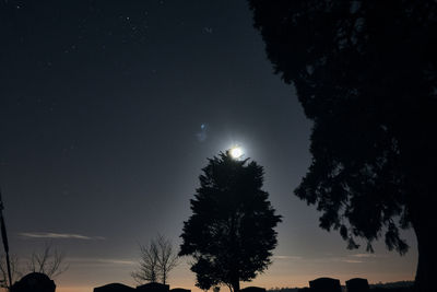 Low angle view of silhouette trees against sky at night