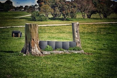 Trees on field against sky
