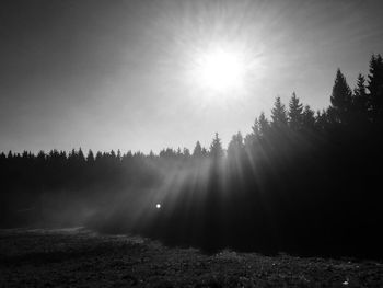 Sun shining through trees against clear sky