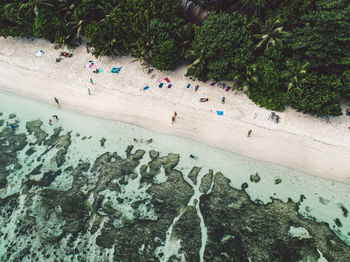 High angle view of people on beach