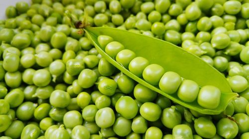 Full frame shot of green beans