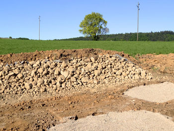 Scenic view of field against clear sky