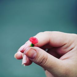 Close-up of hand holding strawberry