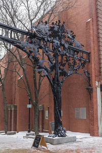 Bare trees by building during winter