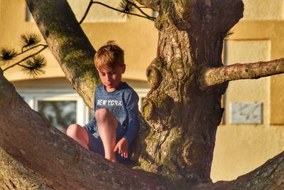 Boy sitting on tree 