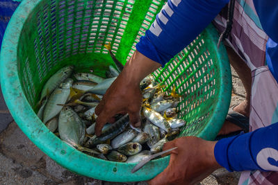 High angle view of man working fish