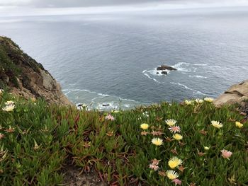 High angle view of scenic view of sea