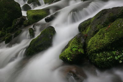 Scenic view of waterfall